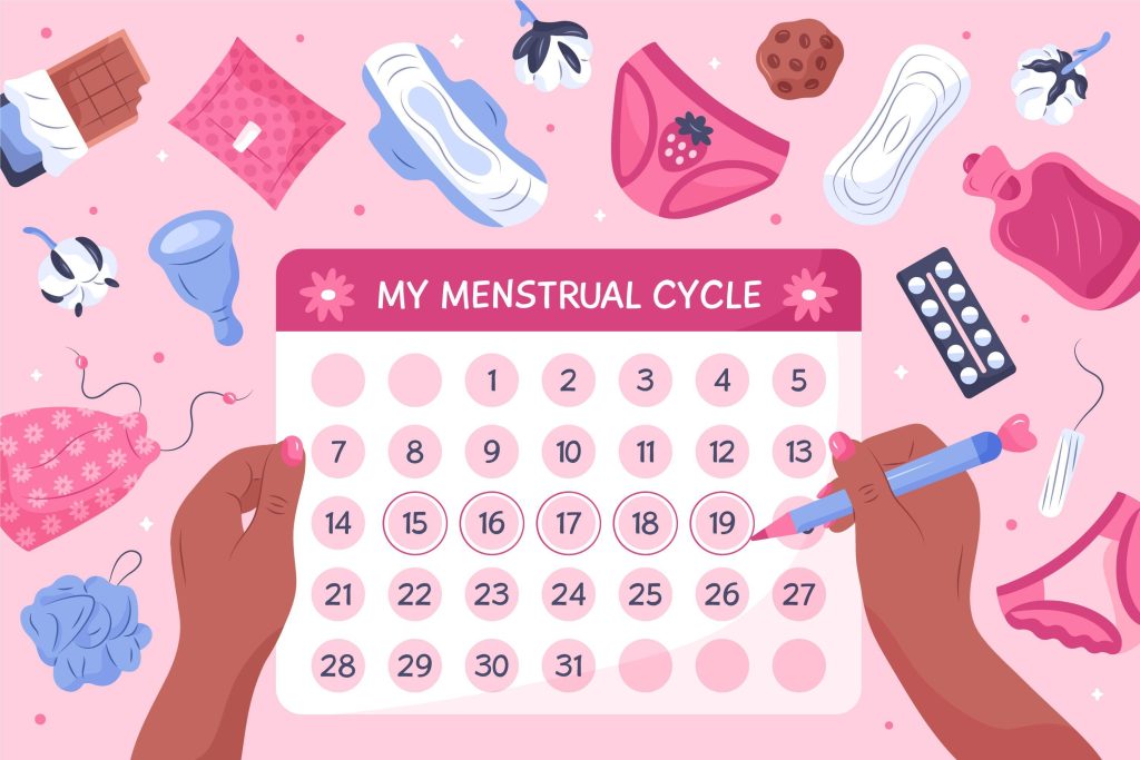 My menstrual cycle