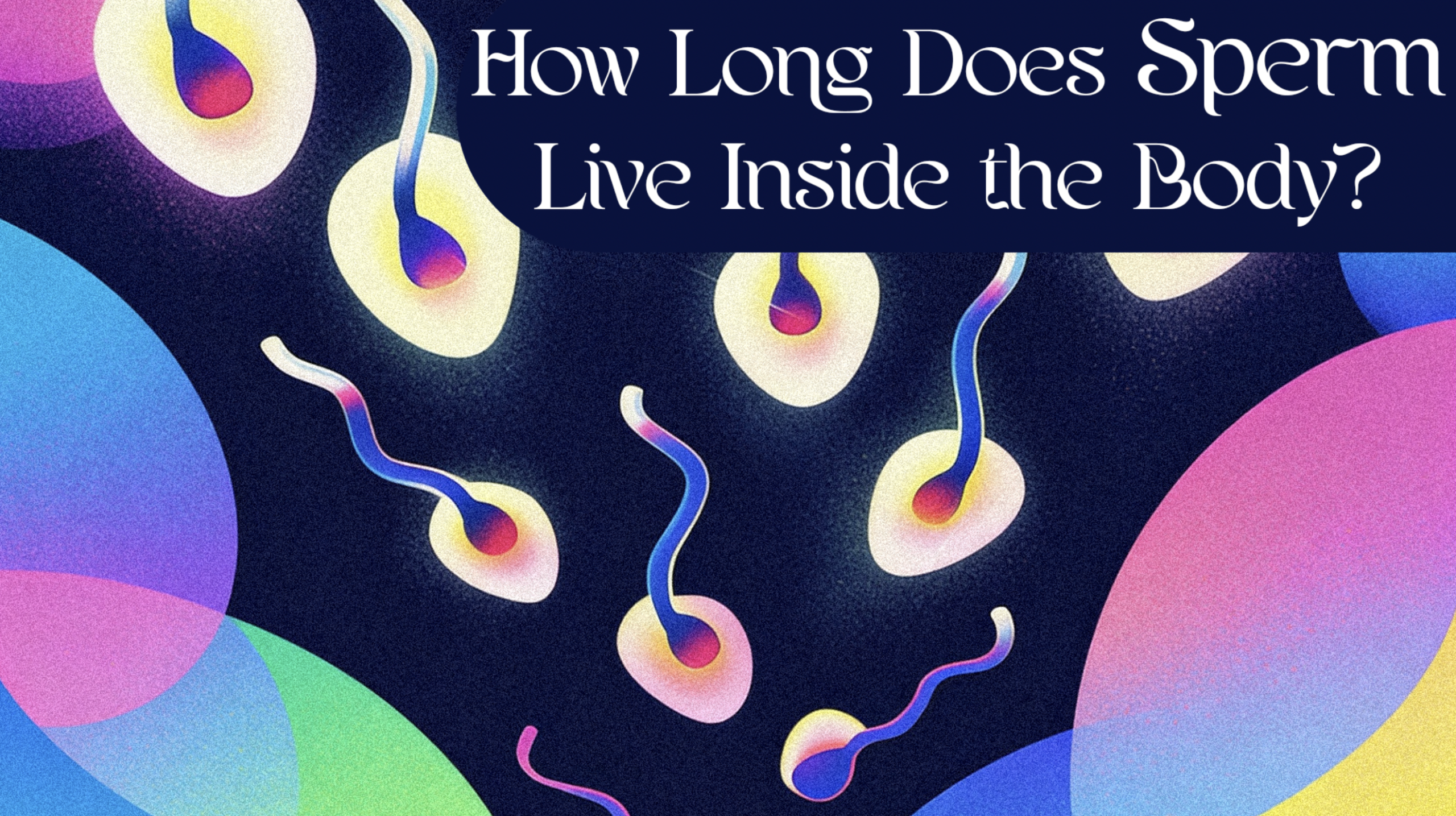 How Long Does Sperm Live Inside the Body?