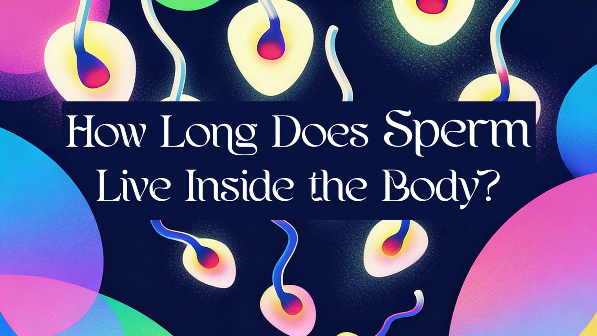 How Long Does Sperm Live Inside the Body?